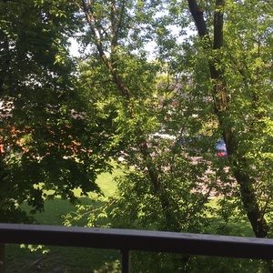 Meet your Posher, Sandy